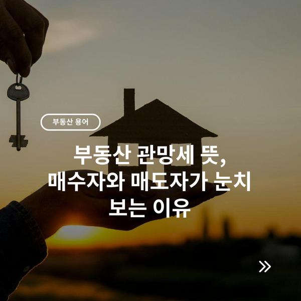 부동산 관망세 뜻, 매수자와 매도자가 눈치 보는 이유