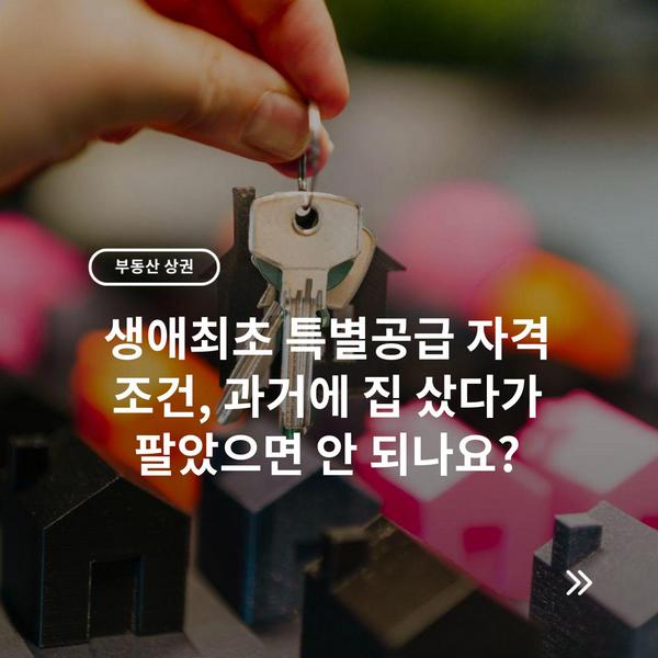 생애최초 특별공급 자격 조건, 과거에 집 샀다가 팔았으면 안 되나요?