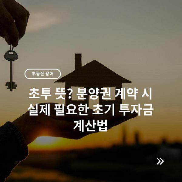 초투 뜻? 분양권 계약 시 실제 필요한 초기 투자금 계산법 2 초투 뜻? 분양권 계약 시 실제 필요한 초기 투자금 계산법