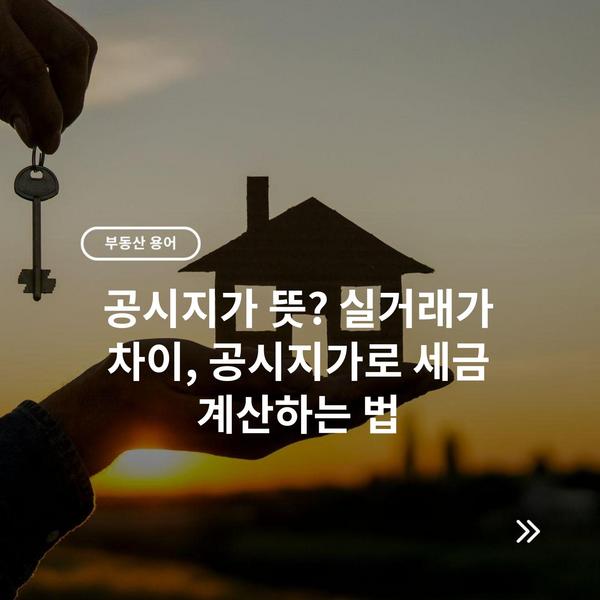 부동산 아파트 분양 청약 정보 호재 입지분석 블로그 '아분정' 18 공시지가 뜻? 실거래가 차이, 공시지가로 세금 계산하는 법