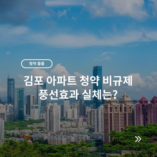 김포 아파트 청약 비규제 풍선효과 실체는?