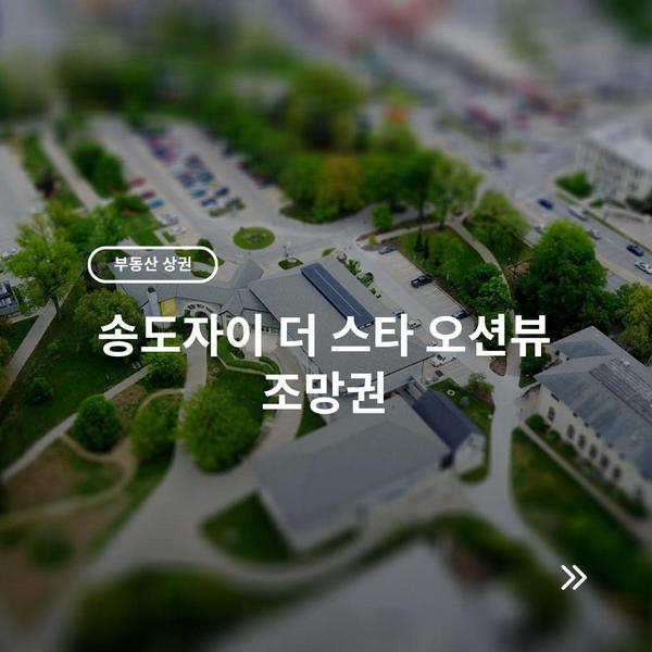 송도자이 더 스타 오션뷰 조망권