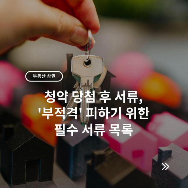 청약 당첨 후 서류, '부적격' 피하기 위한 필수 서류 목록