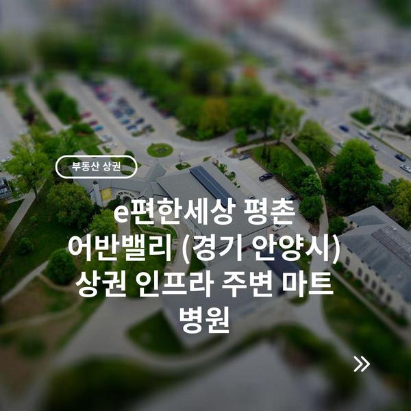 e편한세상 평촌 어반밸리 (경기 안양시) 상권 인프라 주변 마트 병원