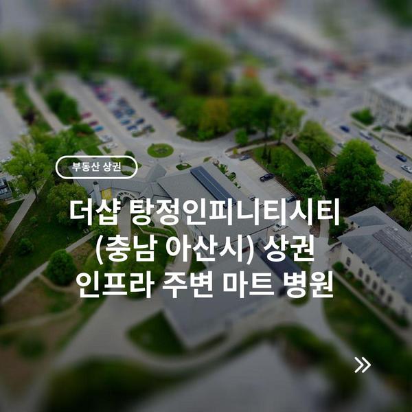 더샵 탕정인피니티시티 (충남 아산시) 상권 인프라 주변 마트 병원