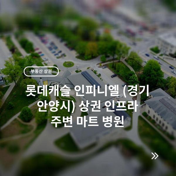롯데캐슬 인피니엘 (경기 안양시) 상권 인프라 주변 마트 병원