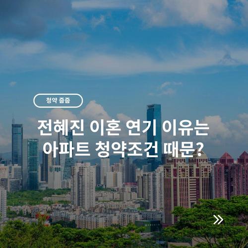 전혜진 이혼 연기 이유는 아파트 청약조건 때문?