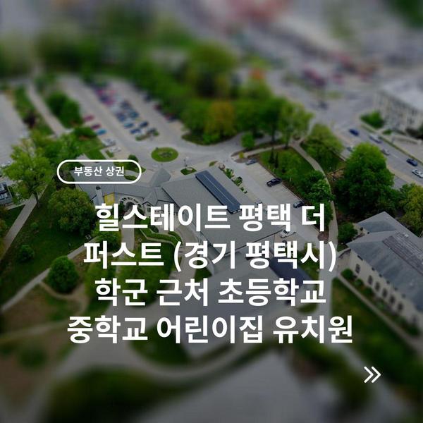 힐스테이트 평택 더 퍼스트 (경기 평택시) 학군 근처 초등학교 중학교 어린이집 유치원