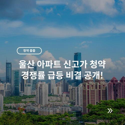 울산 아파트 신고가 청약 경쟁률 급등 비결 공개!
