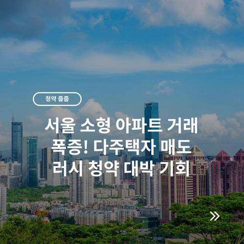 서울 소형 아파트 거래 폭증! 다주택자 매도 러시 청약 대박 기회