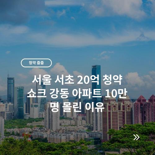 서울 서초 20억 청약 쇼크 강동 아파트 10만 명 몰린 이유