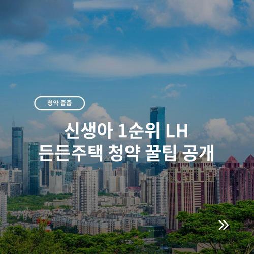 신생아 1순위 LH 든든주택 청약 꿀팁 공개