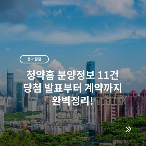 청약홈 분양정보 11건 당첨 발표부터 계약까지 완벽정리!