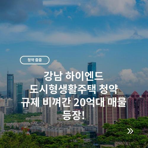 강남 하이엔드 도시형생활주택 청약 규제 비껴간 20억대 매물 등장!