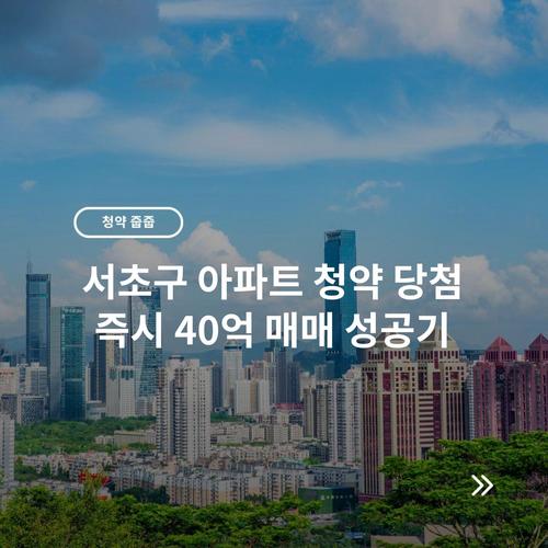 서초구 아파트 청약 당첨 즉시 40억 매매 성공기