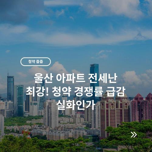 울산 아파트 전세난 최강! 청약 경쟁률 급감 실화인가
