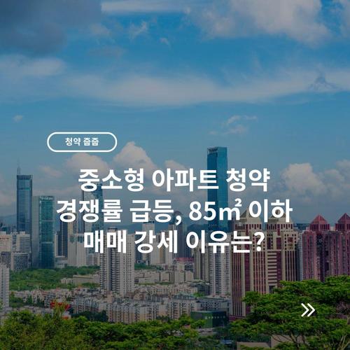 중소형 아파트 청약 경쟁률 급등, 85㎡ 이하 매매 강세 이유는?