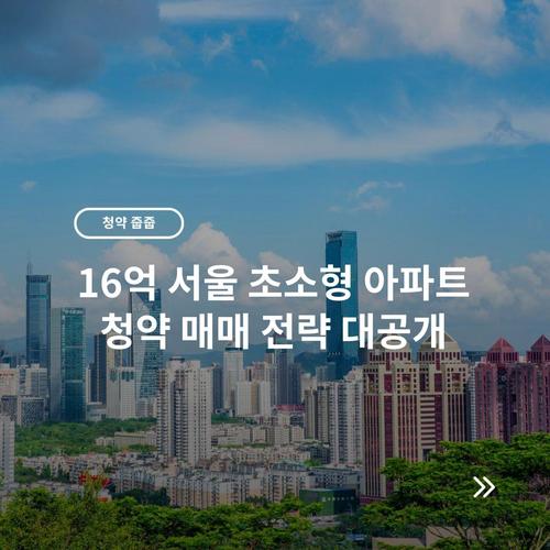 16억 서울 초소형 아파트 청약 매매 전략 대공개