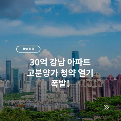 30억 강남 아파트 고분양가 청약 열기 폭발!