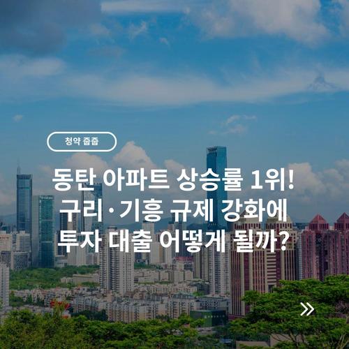 동탄 아파트 상승률 1위! 구리·기흥 규제 강화에 투자 대출 어떻게 될까?