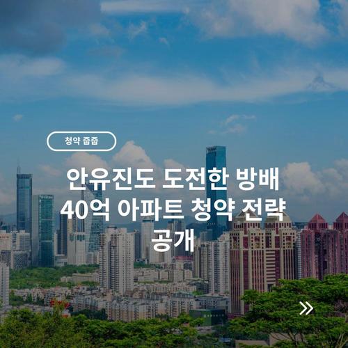 안유진도 도전한 방배 40억 아파트 청약 전략 공개