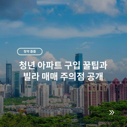 청년 아파트 구입 꿀팁과 빌라 매매 주의점 공개