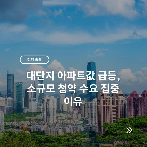 대단지 아파트값 급등, 소규모 청약 수요 집중 이유
