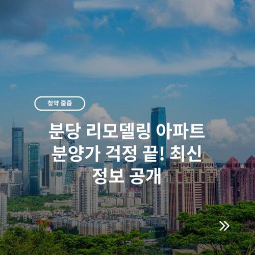 분당 리모델링 아파트 분양가 걱정 끝! 최신 정보 공개